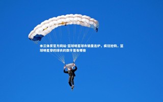 米兰体育官方网站-篮球明星球衣销量出炉，疯狂抢购，篮球明星穿的球衣的数字是有哪些